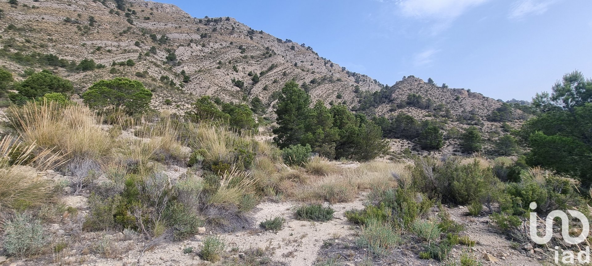 Land plot à Jijona, Alicante, Espagne 88778 m2 No. 185811