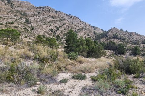 Terreno in vendita a Jijona, Alicante, Spagna 88778 mq. N° 185811 - foto 25