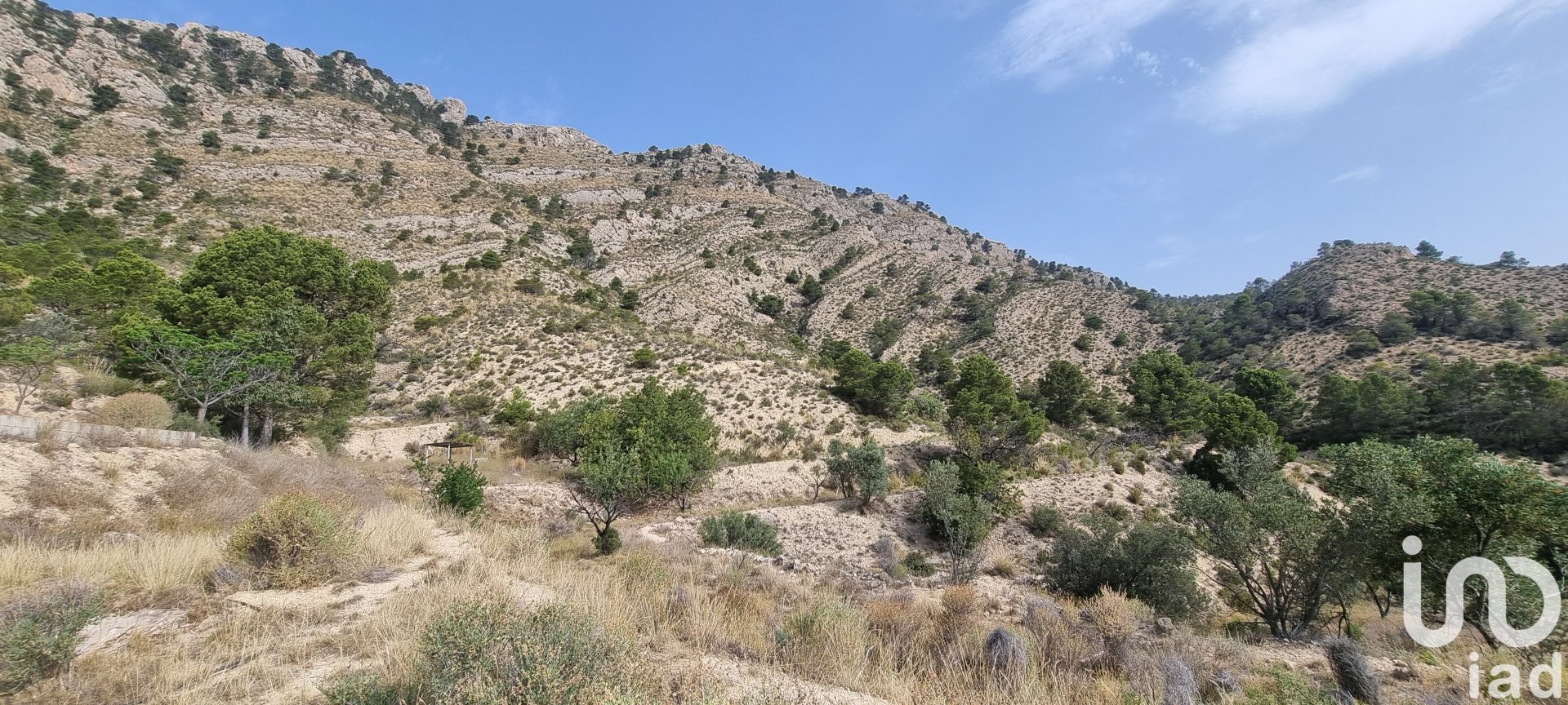 Land plot à Jijona, Alicante, Espagne 88778 m2 No. 185811