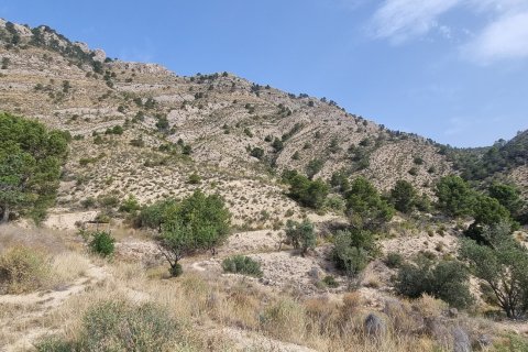 Terreno in vendita a Jijona, Alicante, Spagna 88778 mq. N° 185811 - foto 27