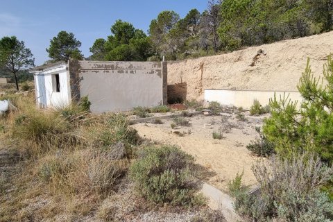 Terreno in vendita a Jijona, Alicante, Spagna 88778 mq. N° 185811 - foto 7