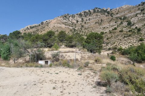 Terreno in vendita a Jijona, Alicante, Spagna 88778 mq. N° 185811 - foto 28
