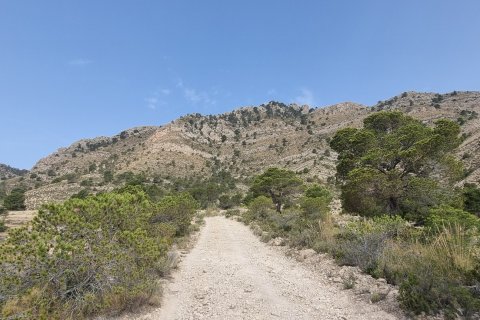 Terreno in vendita a Jijona, Alicante, Spagna 88778 mq. N° 185811 - foto 23
