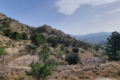 Terreno in vendita a Jijona, Alicante, Spagna 88778 mq. N° 185811 - foto 3