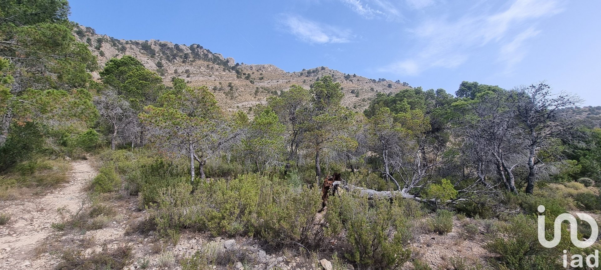 Land plot à Jijona, Alicante, Espagne 88778 m2 No. 185811