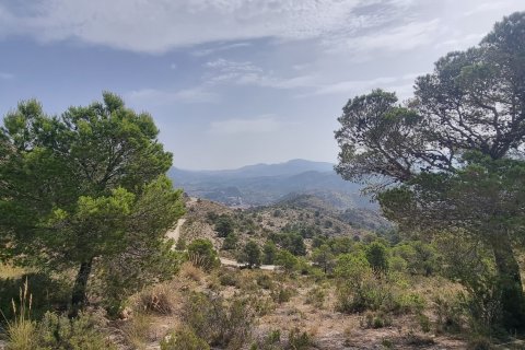 Terreno in vendita a Jijona, Alicante, Spagna 88778 mq. N° 185811 - foto 30