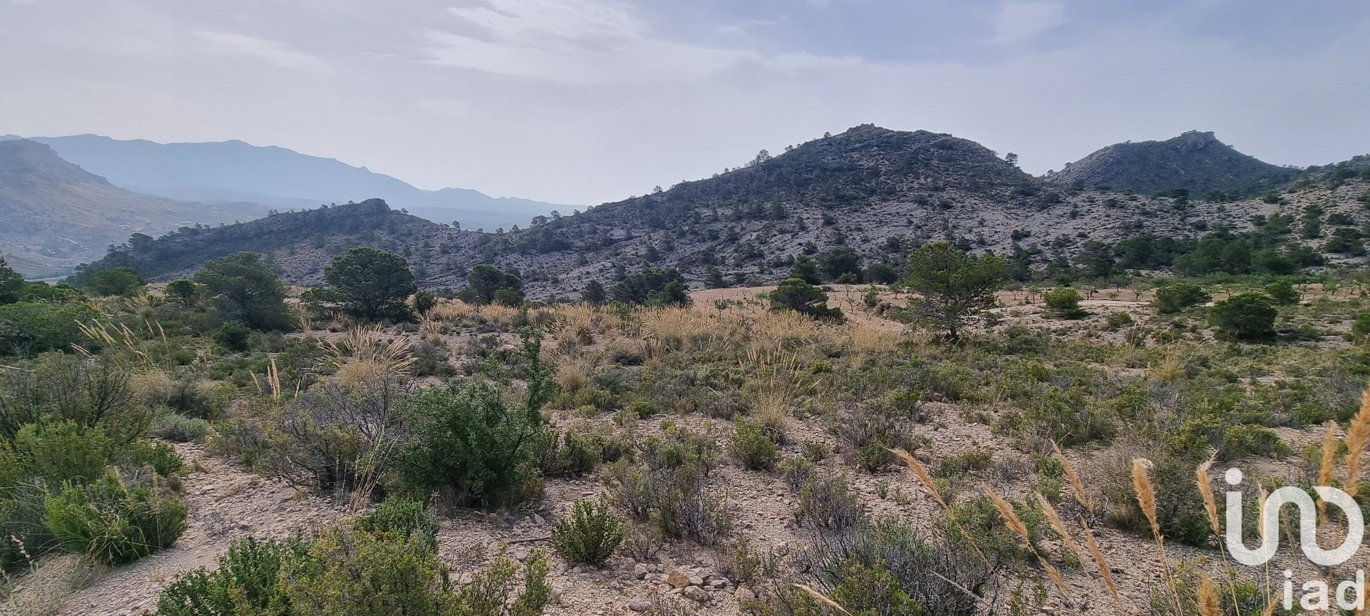 Land plot à Jijona, Alicante, Espagne 88778 m2 No. 185811