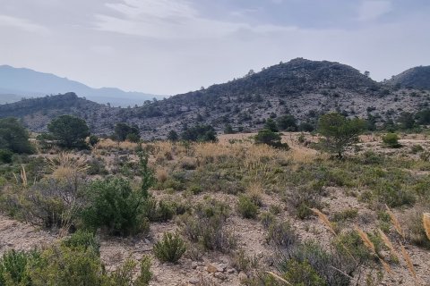 Terreno in vendita a Jijona, Alicante, Spagna 88778 mq. N° 185811 - foto 18
