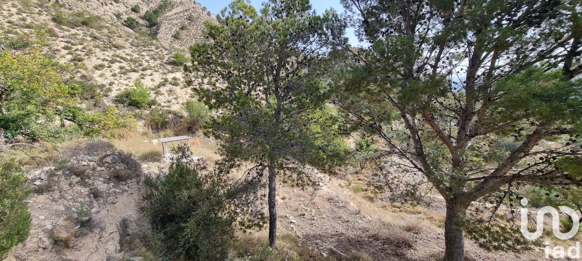 Land plot à Jijona, Alicante, Espagne 88778 m2 No. 185811