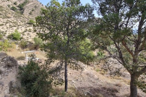 Terreno in vendita a Jijona, Alicante, Spagna 88778 mq. N° 185811 - foto 8