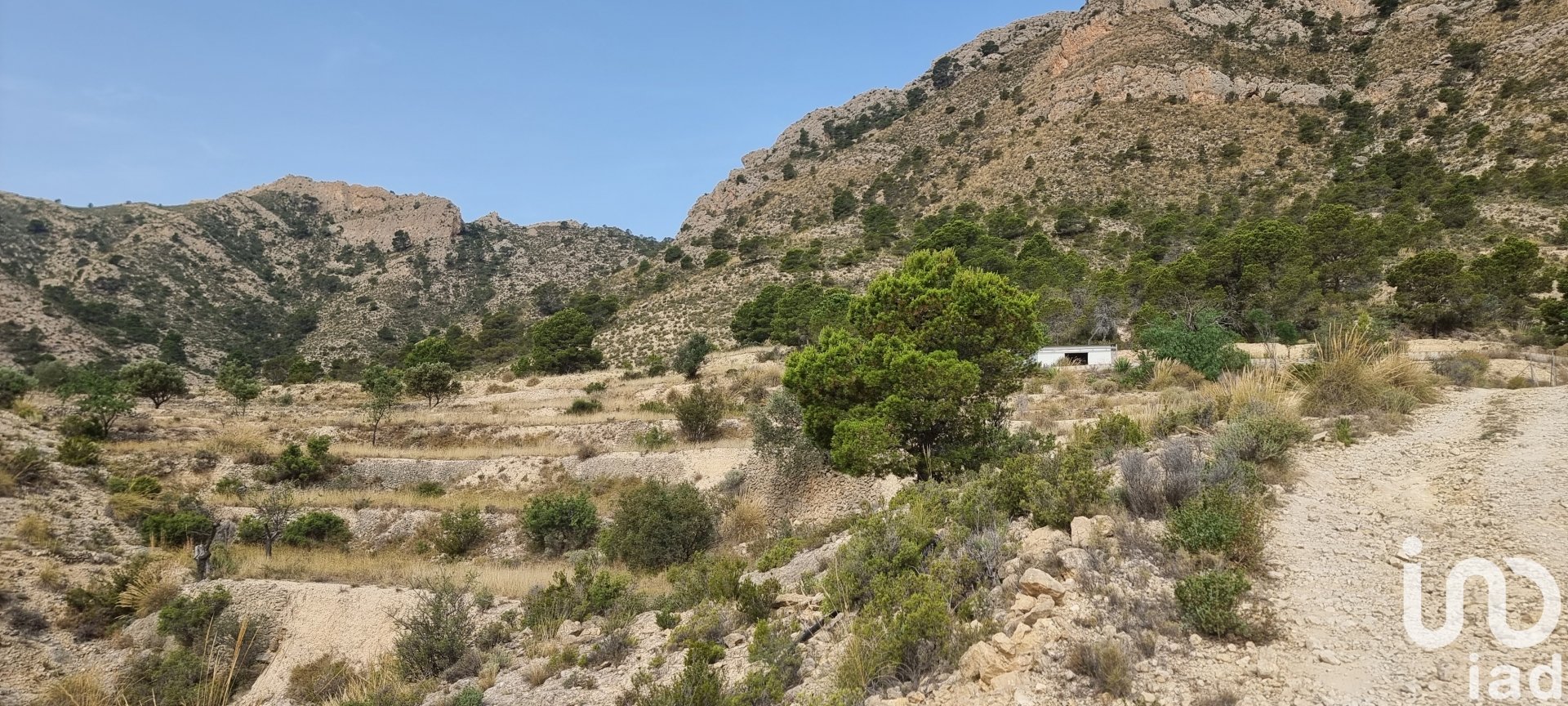 Land plot à Jijona, Alicante, Espagne 88778 m2 No. 185811