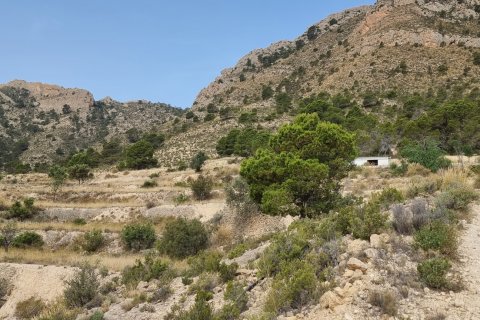 Terreno in vendita a Jijona, Alicante, Spagna 88778 mq. N° 185811 - foto 24