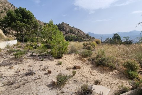 Terreno in vendita a Jijona, Alicante, Spagna 88778 mq. N° 185811 - foto 13