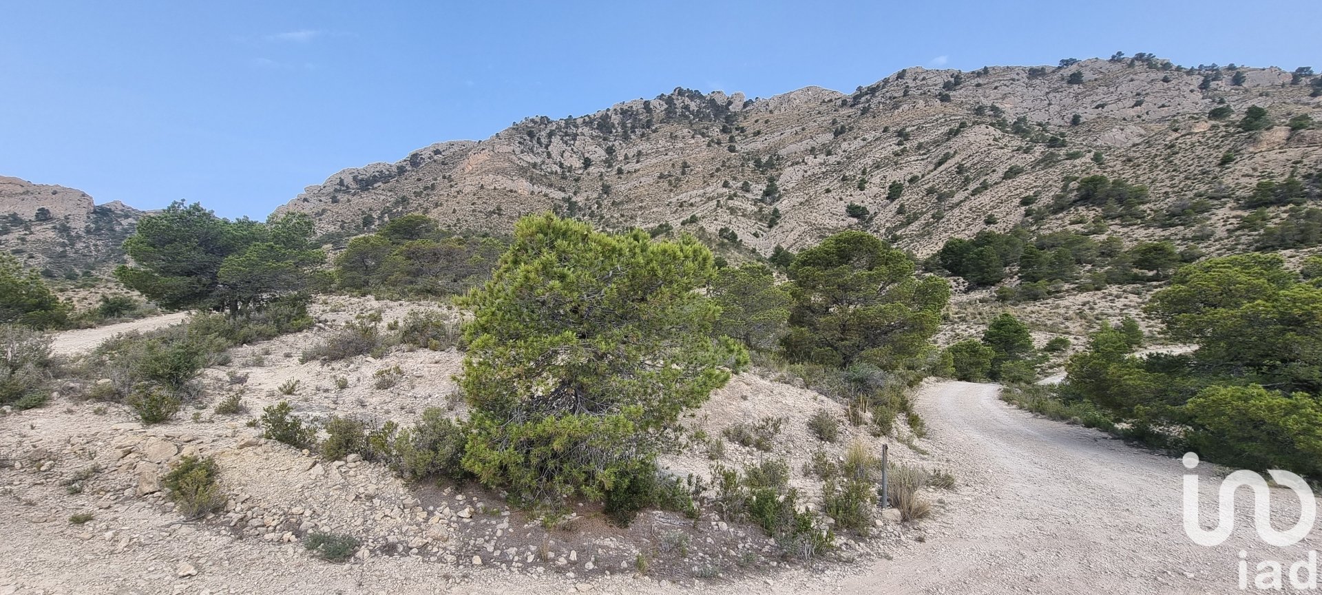 Land plot à Jijona, Alicante, Espagne 88778 m2 No. 185811