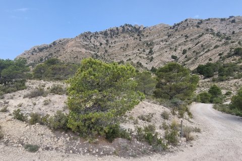 Terreno in vendita a Jijona, Alicante, Spagna 88778 mq. N° 185811 - foto 17