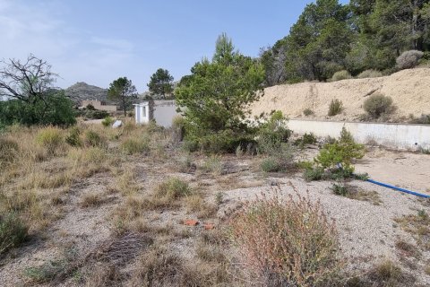 Terreno in vendita a Jijona, Alicante, Spagna 88778 mq. N° 185811 - foto 5