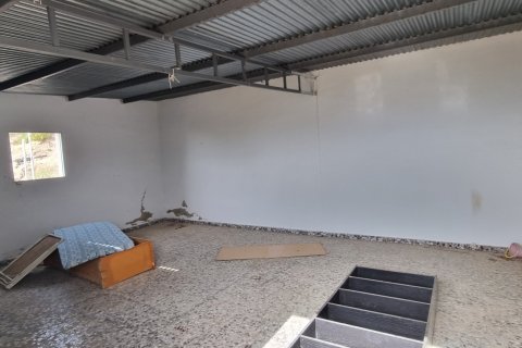 Terreno in vendita a Jijona, Alicante, Spagna 88778 mq. N° 185811 - foto 6