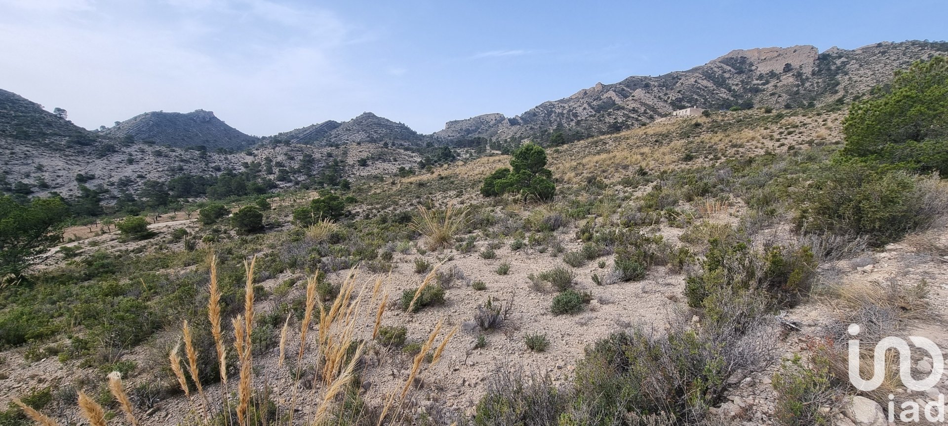 Land plot à Jijona, Alicante, Espagne 88778 m2 No. 185811