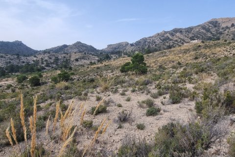 Terreno in vendita a Jijona, Alicante, Spagna 88778 mq. N° 185811 - foto 19
