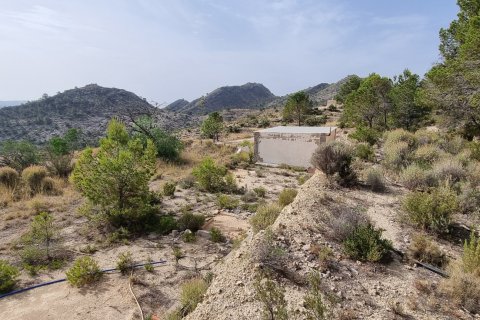 Parcela en Jijona, Alicante, España 88778 m2 No. 185811