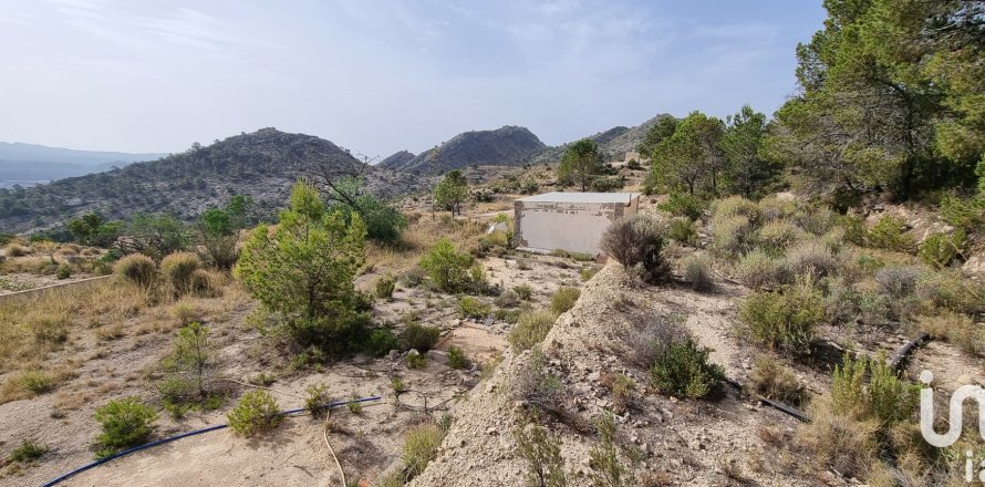 Terreno a Jijona, Alicante, Spagna 88778 mq. N° 185811