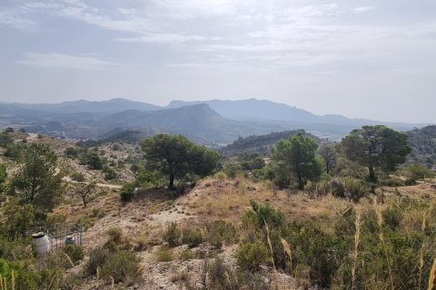Terreno in vendita a Jijona, Alicante, Spagna 88778 mq. N° 185811 - foto 29