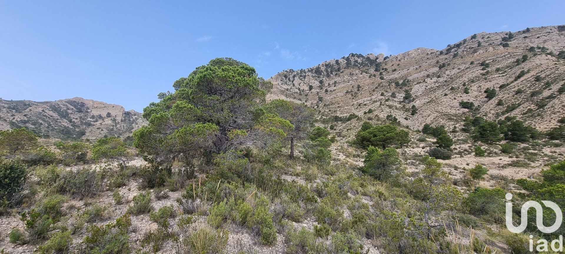 Land plot à Jijona, Alicante, Espagne 88778 m2 No. 185811