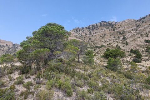 Terreno in vendita a Jijona, Alicante, Spagna 88778 mq. N° 185811 - foto 22