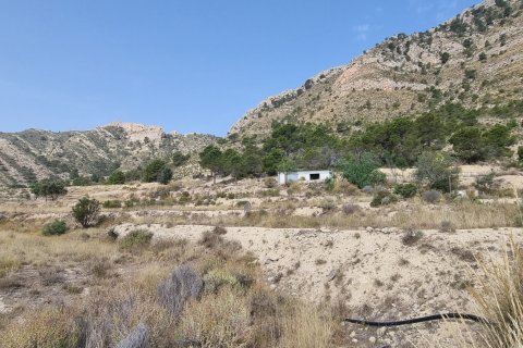 Terreno in vendita a Jijona, Alicante, Spagna 88778 mq. N° 185811 - foto 26
