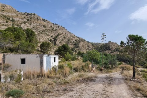 Terreno in vendita a Jijona, Alicante, Spagna 88778 mq. N° 185811 - foto 14