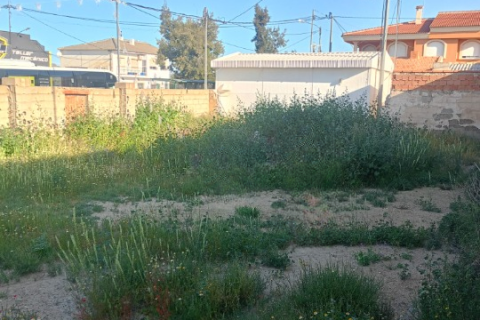 Land plot à vendre à Lorca, Murcia, Espagne, 233 m2 No. 185877 - photo 10