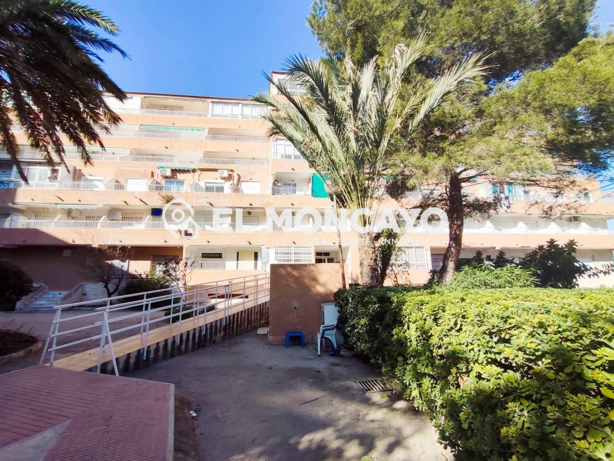 Apartment in Guardamar del Segura, Alicante, Spain 2 bedrooms, 36 sq.m. No. 183819