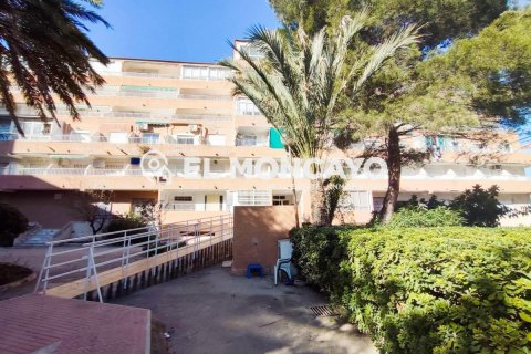 Wohnung zum Verkauf in Guardamar del Segura, Alicante, Spanien 2 Schlafzimmer, 36 m2 Nr. 183819 - Foto 2