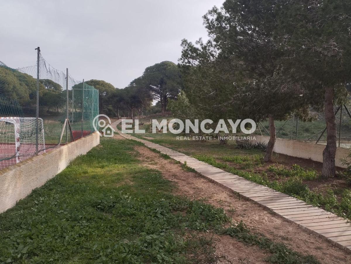 Apartment in Guardamar del Segura, Alicante, Spain 2 bedrooms, 36 sq.m. No. 183819