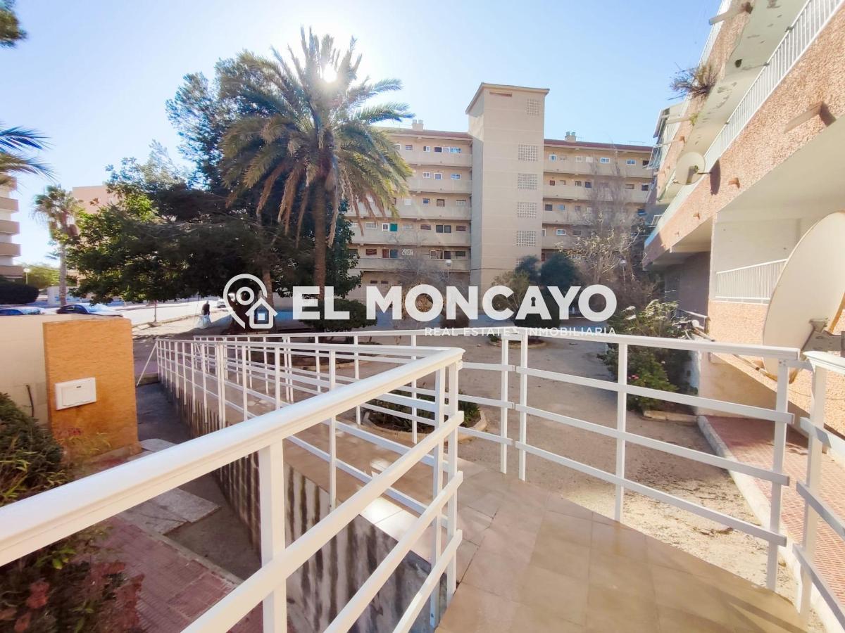 Apartment in Guardamar del Segura, Alicante, Spain 2 bedrooms, 36 sq.m. No. 183819