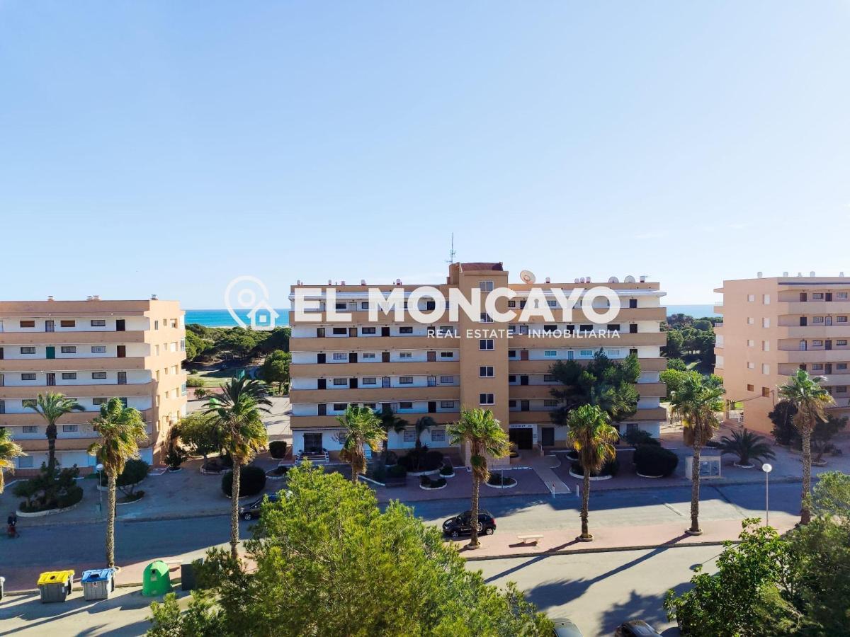 Apartment in Guardamar del Segura, Alicante, Spain 2 bedrooms, 36 sq.m. No. 183819