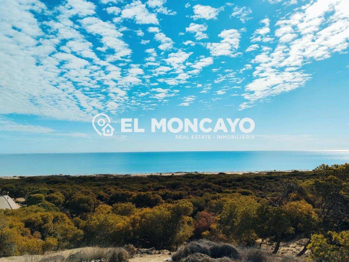 Apartment in Guardamar del Segura, Alicante, Spain 2 bedrooms, 36 sq.m. No. 183819