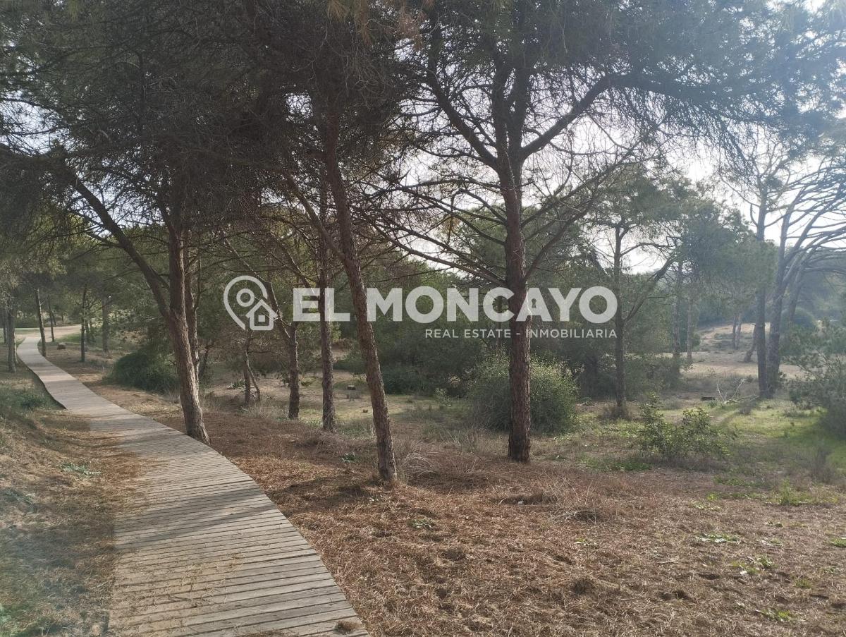 Apartment in Guardamar del Segura, Alicante, Spain 2 bedrooms, 36 sq.m. No. 183819