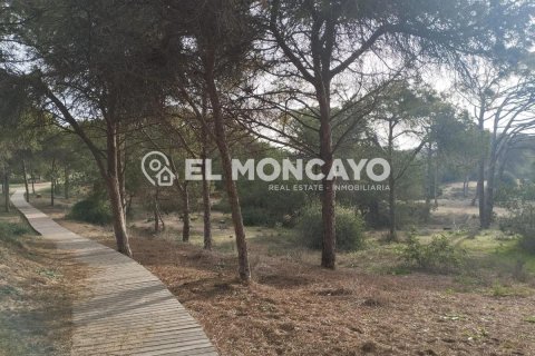 Wohnung zum Verkauf in Guardamar del Segura, Alicante, Spanien 2 Schlafzimmer, 36 m2 Nr. 183819 - Foto 27