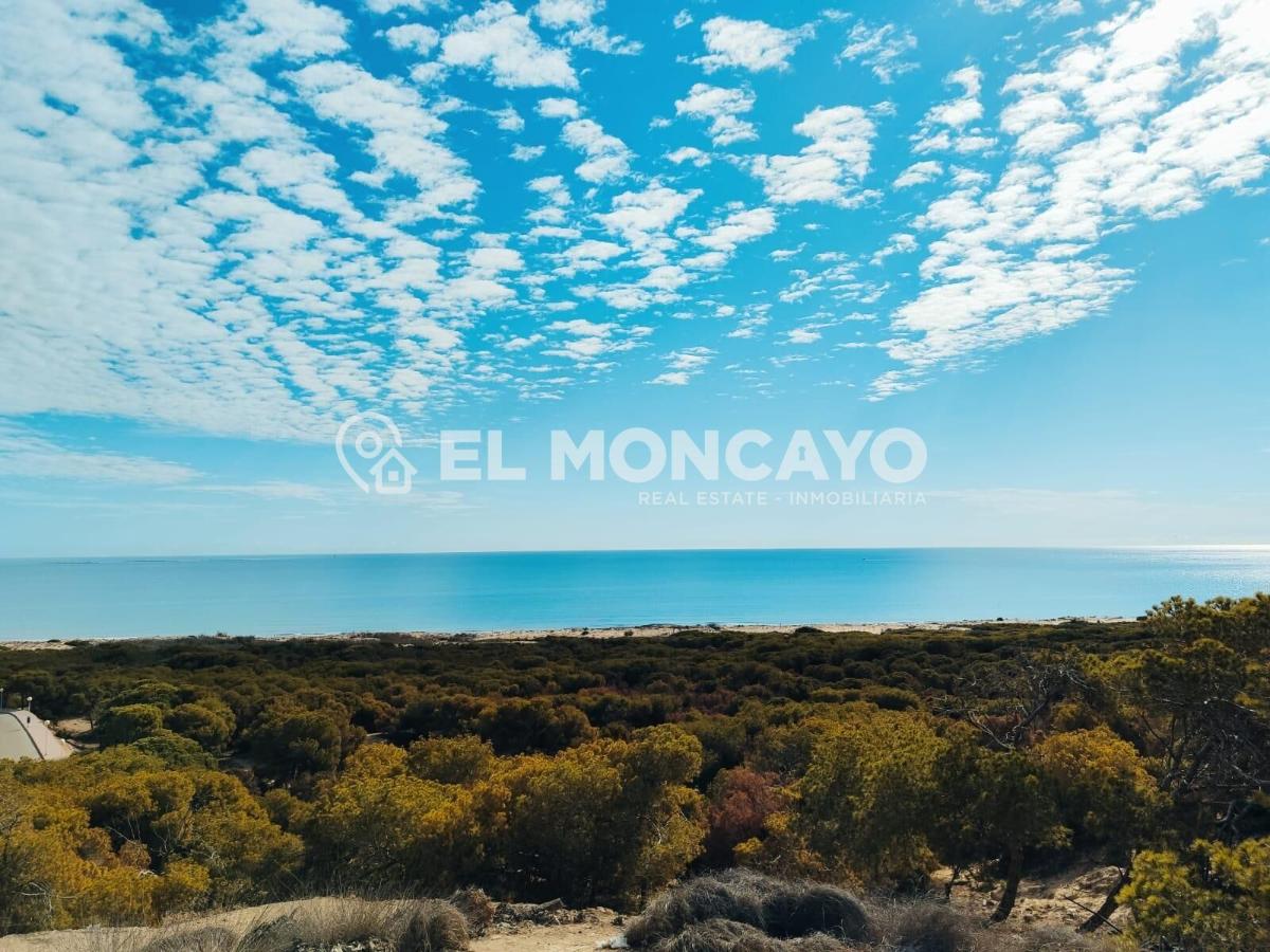 House in Guardamar del Segura, Alicante, Spain 2 bedrooms, 62 sq.m. No. 183820