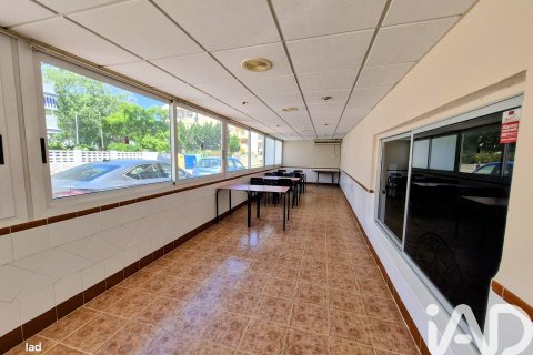 Bar for sale in Piles, Valencia, Spain 356 sq.m. No. 172220 - photo 21