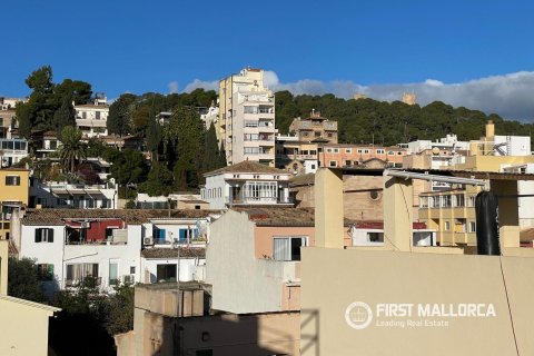 Takvåning till salu i Palma de Majorca, Mallorca, Spanien 2 sovrum, 66 kvm. Nr. 194761 - foto 16