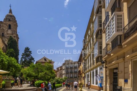 Apartament w Malaga, Hiszpania 1 sypialnia, 72 mkw. nr 156883 – zdjęcie 9