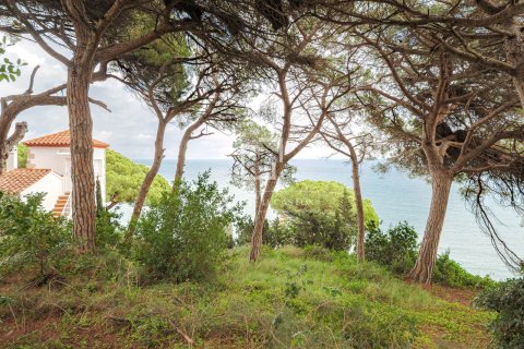 Tontti myytävänä Arenys de Mar, Barcelona, Espanja ,  No. 192786 - kuva 3