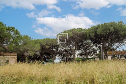 Tontti myytävänä Arenys de Mar, Barcelona, Espanja ,  No. 192786 - kuva 8