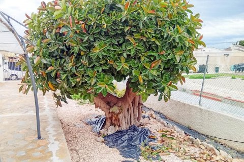 Villa à vendre à Torrevieja, Alicante, Espagne, 4 chambres, 156 m2 No. 152098 - photo 22