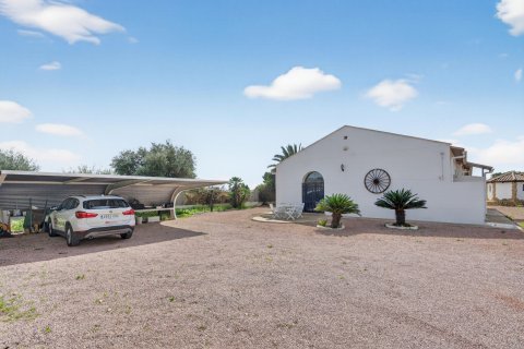 Willa w Santa Pola, Alicante, Hiszpania 3 sypialnie, 350 mkw. nr 161298 – zdjęcie 27