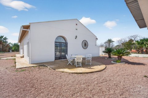 Willa w Santa Pola, Alicante, Hiszpania 3 sypialnie, 350 mkw. nr 161298 – zdjęcie 24