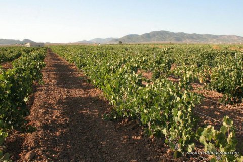 Dzīvoklis pārdošanā Hondon De Las Nieves, Alicante, Spānijā 3 istabas, 112.64 m2 Nr. 113743 - attēls 8
