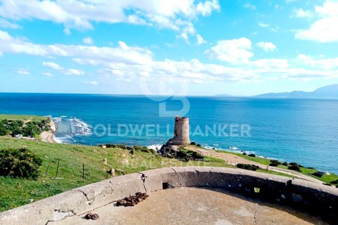 Tontti Tarifa, Cadiz, Espanja 117543 m2 No. 158577